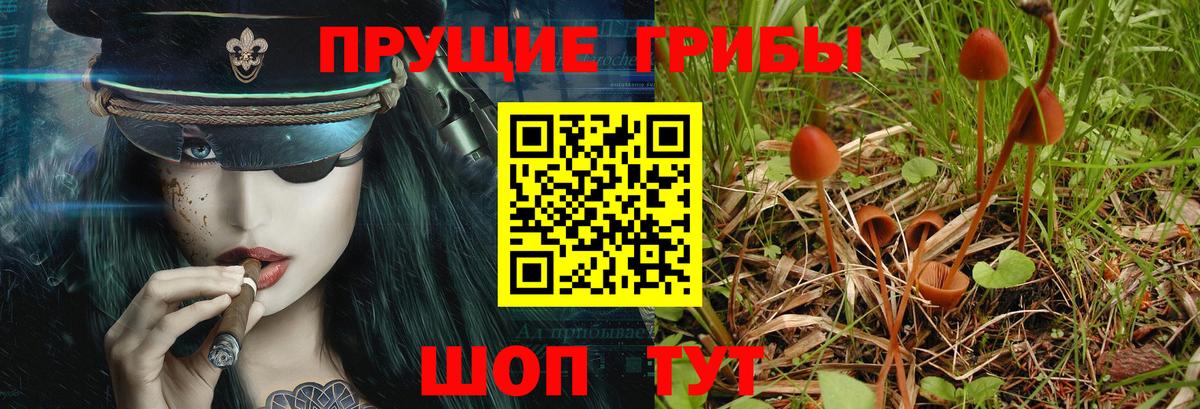 Псилоцибиновые грибы ЛСД  Галлюциногенные грибы MAGIC MUSHROOMS  Вход с VPN  Видное 