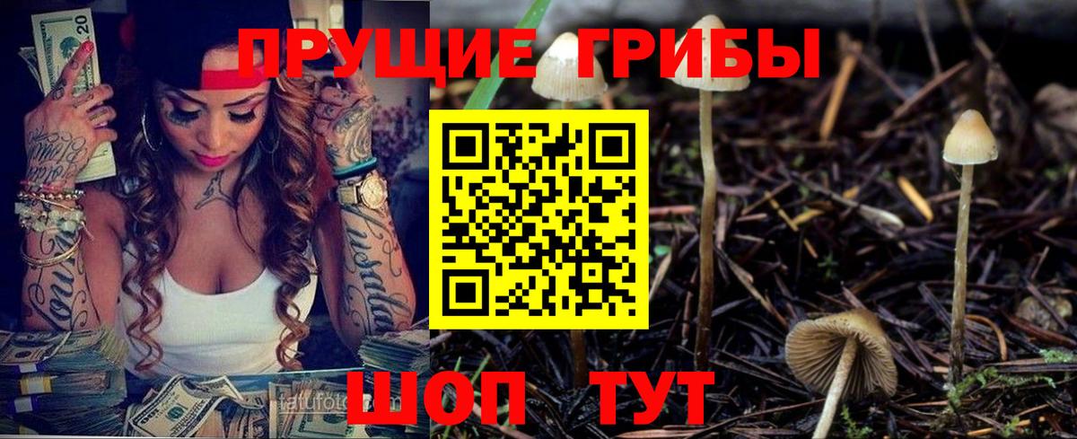 Галлюциногенные грибы прущие грибы Видное